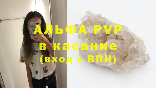 сатива Богданович