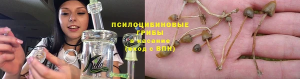 COCAINE Богородск