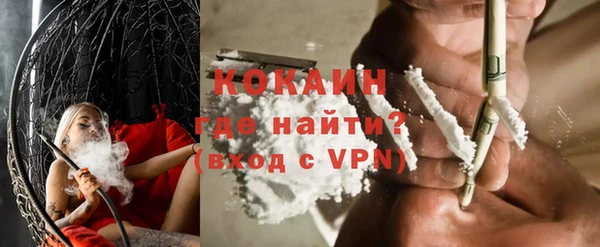 сатива Богданович
